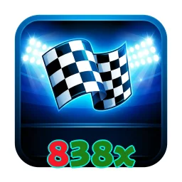 838x